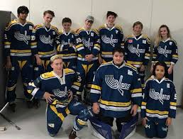 Image result for Oxford Blues Skater Hockey Club