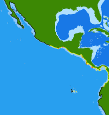 Image result for Styracura pacifica