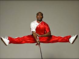 Image result for kung fu