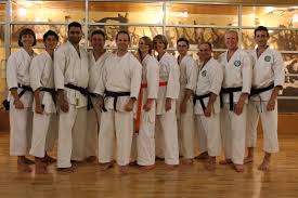 Image result for COURT FIELDS karate Academy