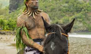 Attēlu rezultāti vaicājumam “Aranei exuvia”