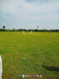 Image result for Runnymede Rascals Cricket Club