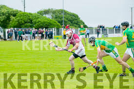 Image result for Causeway Hurling Club