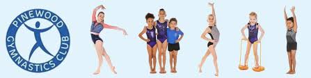 Image result for Sutton At Home Gymnastics Club
