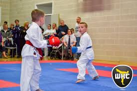 Image result for Reading Wado Kai Karate Club