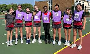 Image result for Onslow Pink Panthers Junior Netball Club