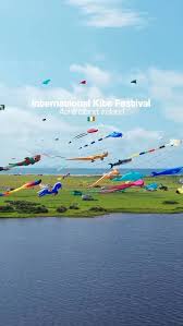 Image result for Kite Ireland