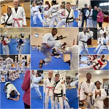 Image result for Mobile Martial Arts Community Interest Company