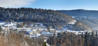 Image result for morbier