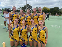 Image result for Hn Ladies Netball Club