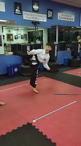 Image result for Karstadt TaeKwonDo