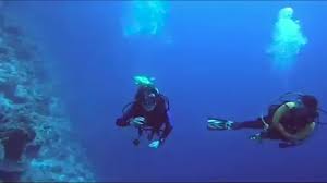 Image result for Duchy Divers