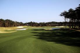 ネタ枯れ에 대한 이미지 검색결과