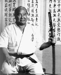 Image result for Kyokushin Karate