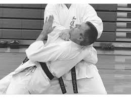 Image result for kyokujitsu Kai