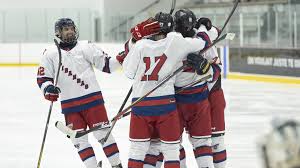 Image result for Piranhas Inline Hockey Club