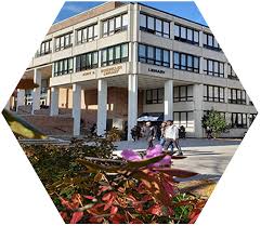 Image result for Bidborough Cc