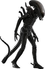Image result for xenomorph