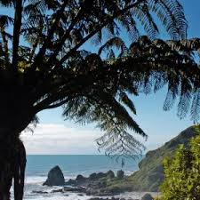 Image result for Midlands Kite Fliers