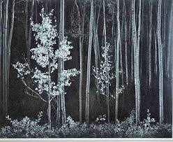 Image result for Ansel Adams Aspens New Mexico