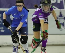 Image result for Sheffield Wildcats Rink Hockey and Roller Skating Club