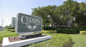 Image result for Cedars Badminton Club