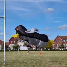 Image result for White Horse Kite Fliers Club