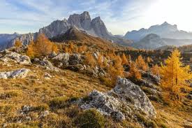 Image result for Ancestral Mountains