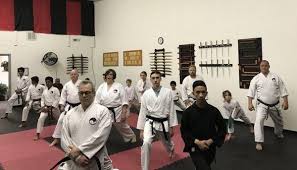 Image result for Excalibur Shotokan Karate Club
