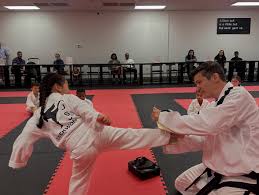 Image result for Karstadt TaeKwonDo