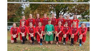 Image result for Droitwich Spa Boys & Girls Football Club