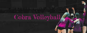 Image result for Chesterfield Cobras Volleyball Club