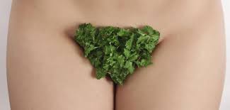 Image result for schamhaar