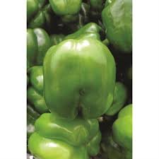 Afbeeldingsresultaat voor giant 3 sweet pepper