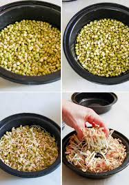 Image result for bean sprout