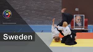 Image result for Kokyu Aikido Association