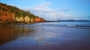 Image result for Paddletastic