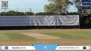 Image result for Chichester Priory Park Cc