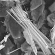 Asbestos | US EPA