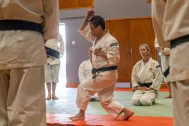Image result for Bournemouth Shorinji Kempo Club