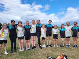 Image result for Aldwick Cricket Club