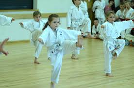 Image result for Norfolk Karate