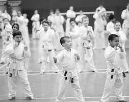 Image result for Orpington Shotokan Karate Club