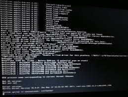 Image result for kernel panic snow leopard