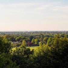 Image result for Sandown Sports Club