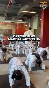 Image result for Oxford Internal Arts Club