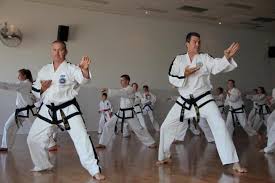 Image result for I T F Taekwondo (Andover)
