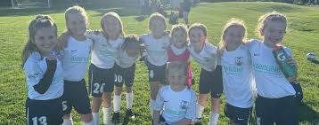 Image result for Springfield Badminton Club