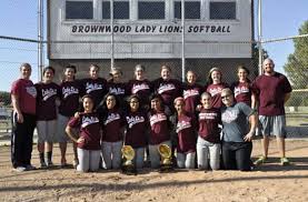 Image result for Lions Softball Club