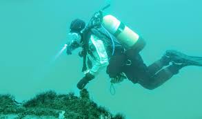 Image result for Surrey Aquanauts B S A C 0689